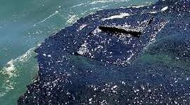 Timeline: Conflictos Ambientales Amenazan la Salud de la Población y la Biodiversidad del Planeta