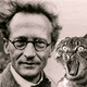 Schrodinger