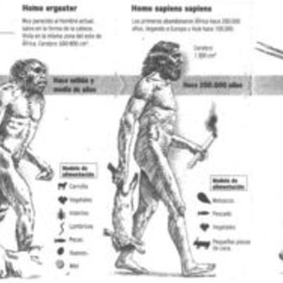 Timeline: LA EVOLUCIÓN DE LOS HÁBITOS DE LA ALIMENTACIÓN HUMANA