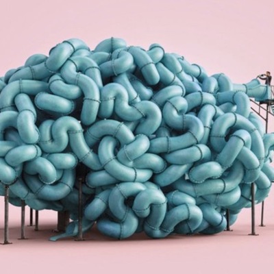 Timeline: El cerebro y la mente humana