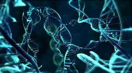 Timeline: Genetics and its development