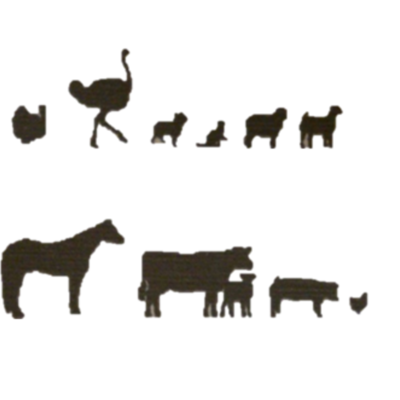 Timeline: Linea del tiempo de la historia de veterinaria