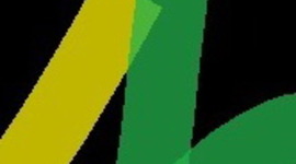 Timeline: FIRST TIMELINE