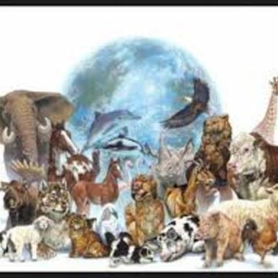 Timeline: animales extintos