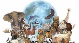 Timeline: animales extintos