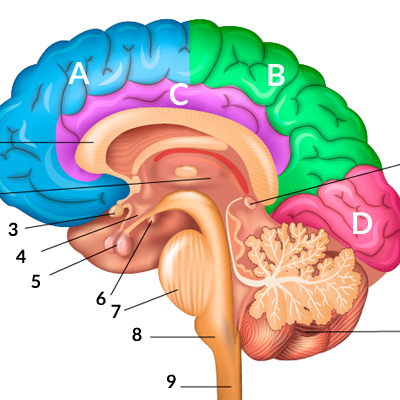 Timeline: PERSPECTIVA HISTÓRICA DE LAS DA
