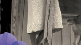 Timeline: Cultural historical events within The Color Purple