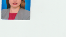 Timeline: historia de vida