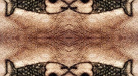 Timeline: TimeSeeds in Realtime (TM)