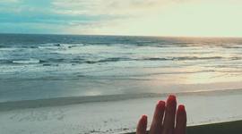 Timeline: Life With Devin