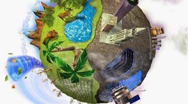 Timeline: Conflictos Ambientales Amenazan la Salud de la Población y la Biodiversidad del Planeta