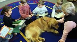 Timeline: The History of Therapy Animals