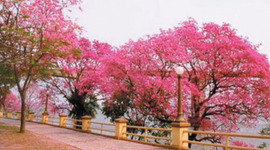 Timeline: Las tics en mi vida