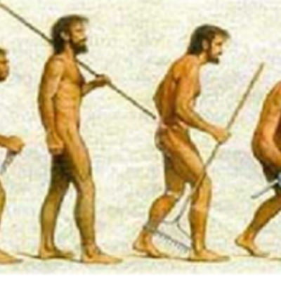 Timeline: Evolución de la administración