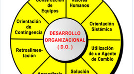 Timeline: Desarrollo Organzacional