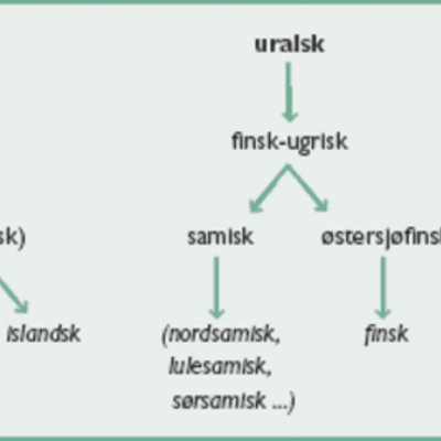 Timeline: Norsk språkhistorie