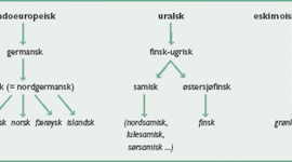 Timeline: Norsk språkhistorie