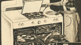 Timeline: Household Management Timeline