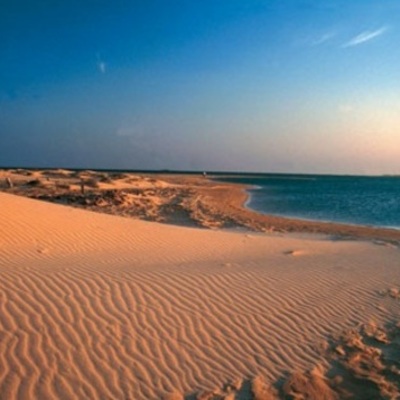 Timeline: Historia de la guajira