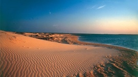 Timeline: Historia de la guajira