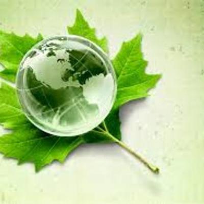 Timeline: DÍAS IMPORTANTES EN EL AÑO PARA LA ECOLOGÍA