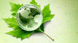 Timeline: DÍAS IMPORTANTES EN EL AÑO PARA LA ECOLOGÍA