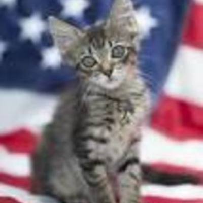 Timeline: 2017-2018 History Class Timeline