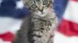 Timeline: 2017-2018 History Class Timeline