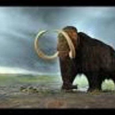 Timeline: History Class Timeline 2017-2018