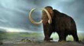 Timeline: History Class Timeline 2017-2018