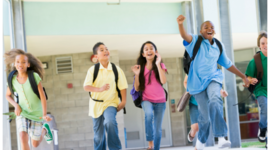 Timeline: Ciclo de los humanos (David Garrido)