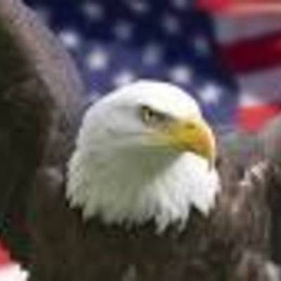 Timeline: History Class Timeline 2017-2018