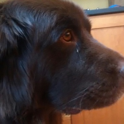 Timeline: History Class Timeline 2017-2018