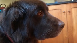 Timeline: History Class Timeline 2017-2018