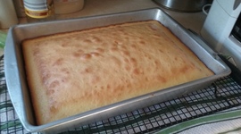 Timeline: The TrueTimeline of Social Media