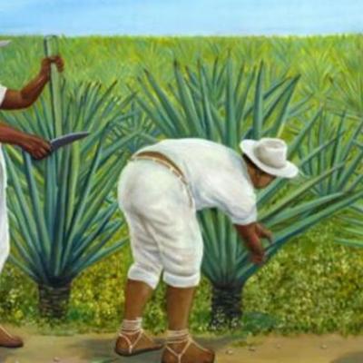 Timeline: ADA 3. BONANZA HENEQUENERA