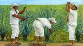 Timeline: ADA 3. BONANZA HENEQUENERA