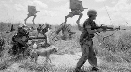 Timeline:  A guerra do viatnã ,Leandro Paiva,Caio vinicius