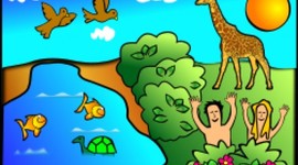 Timeline: La maravillosa obra de la creación contada en siete días.