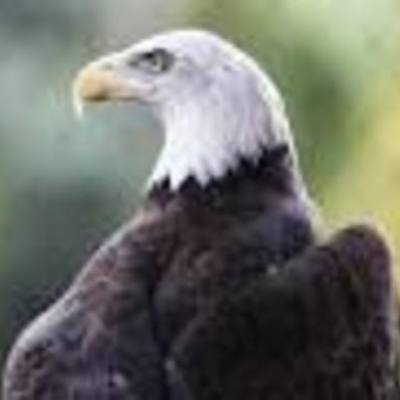 Timeline: My History Timeline