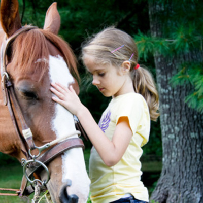 Timeline: EQUINOTERAPIA