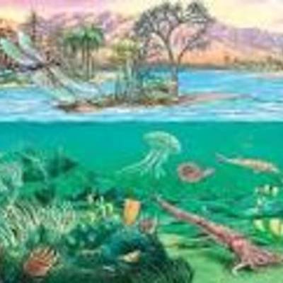 Timeline: Era Paleozoica