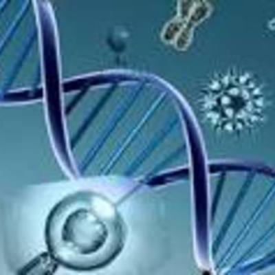 Timeline: Descubrimientos importantes