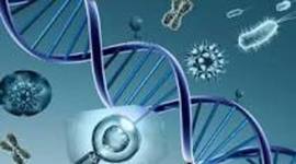 Timeline: Descubrimientos importantes