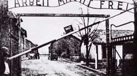 Timeline: Holocausto