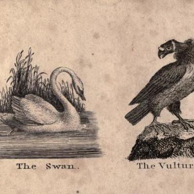 Timeline: HaK Season 1