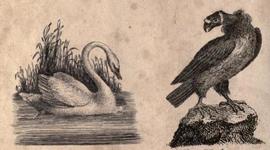 Timeline: HaK Season 1