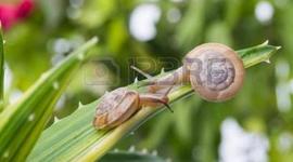 Timeline: MIS EVENTOS Y INVENTOS