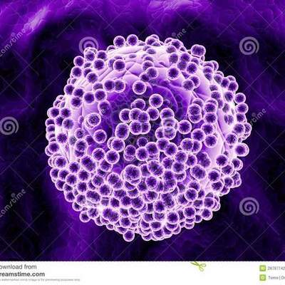 Timeline: APORTES CIENTIFICOS AL CONCEPTO DE CELULA