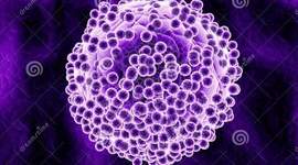 Timeline: APORTES CIENTIFICOS AL CONCEPTO DE CELULA